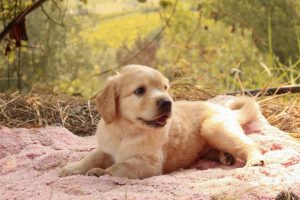 Winnie
